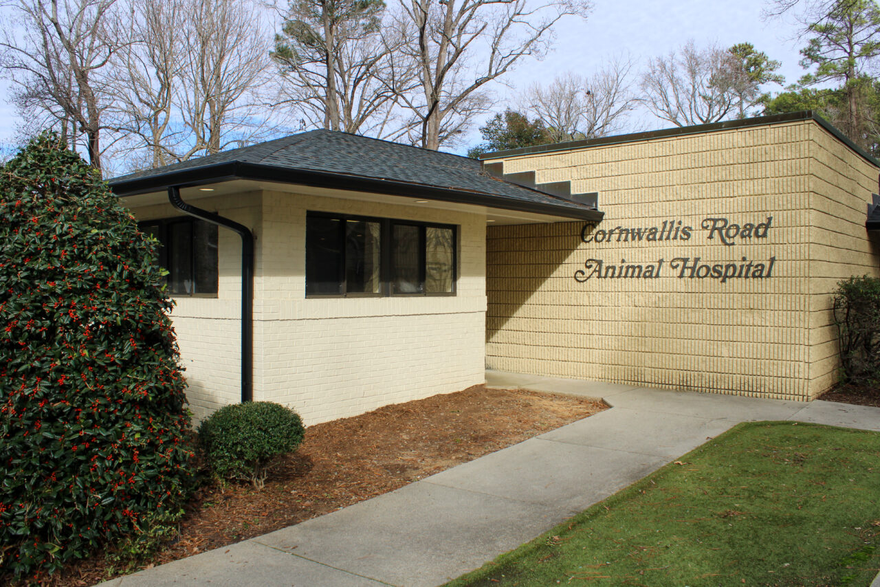 Cornwallis Road Animal Hospital Durham, NC Veterinary Hospital